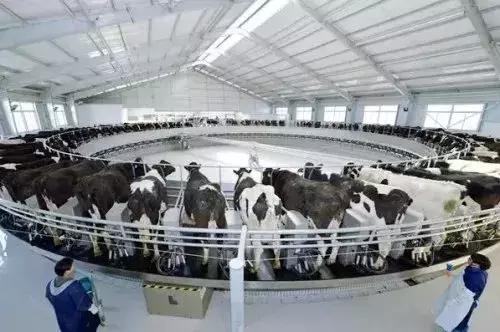 滹沱河鹿泉自驾,鹿泉到灵寿自驾