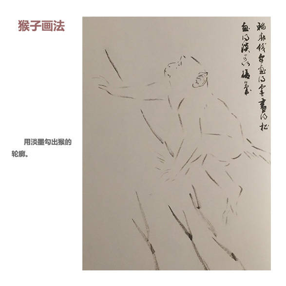 中国画如何画猴子,中国画怎样画猴子