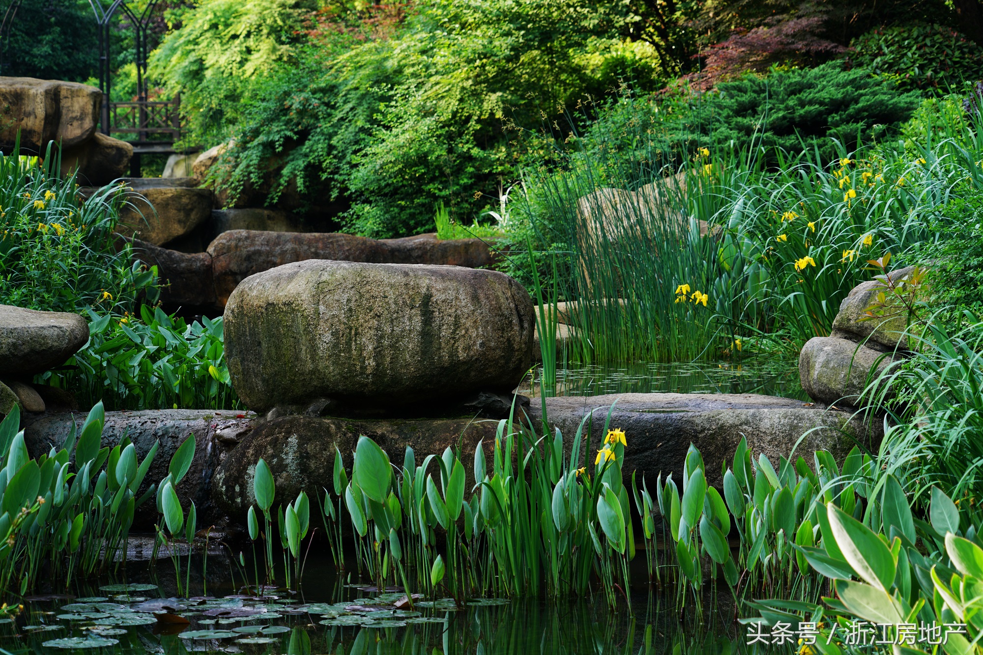 幸运冲动下摇来的房子，真的是适合你的吗？