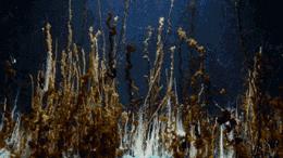 100张趣味化学反应动图,30张化学反应动图