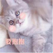 自由幻想宠物装备属性怎么洗,自由幻想宠物装备刻印需要什么