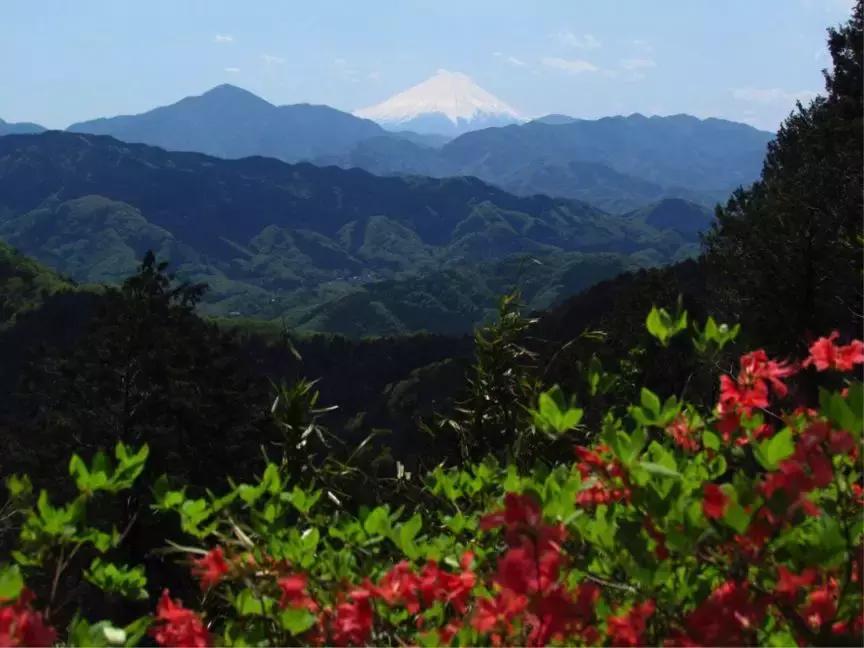 日本爸爸带全家游,带父母去日本旅游趣事