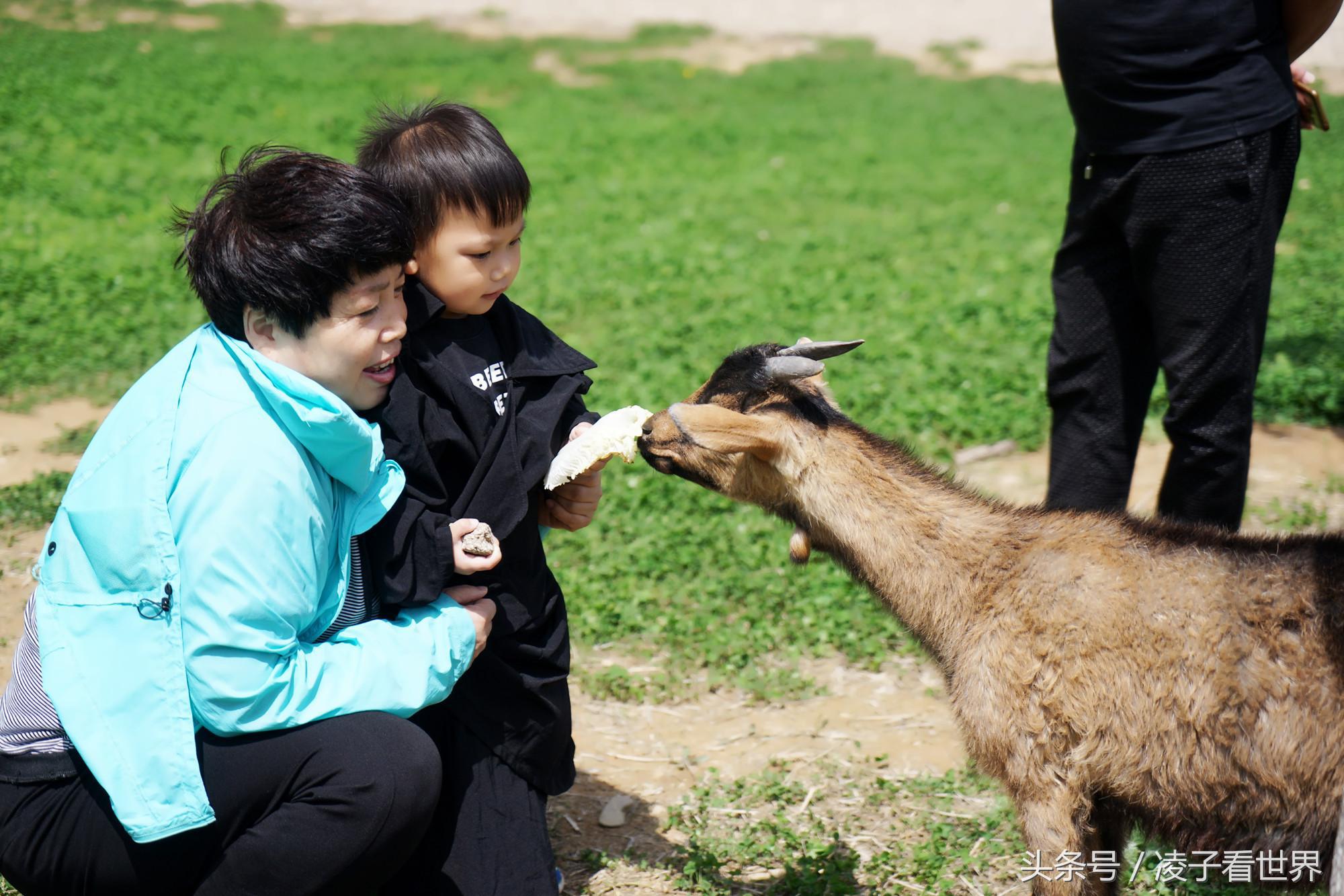 辽宁旅顺天沐温泉度假酒店,辽宁花溪沐温泉小镇