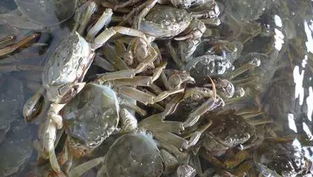 走亲访友送什么酒实惠,走亲访友送什么比较好实惠