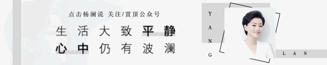 杨澜比尔克林顿,杨澜鲁豫克林顿