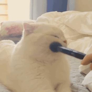 便宜又好用的美妆神器,种草超实用美妆工具