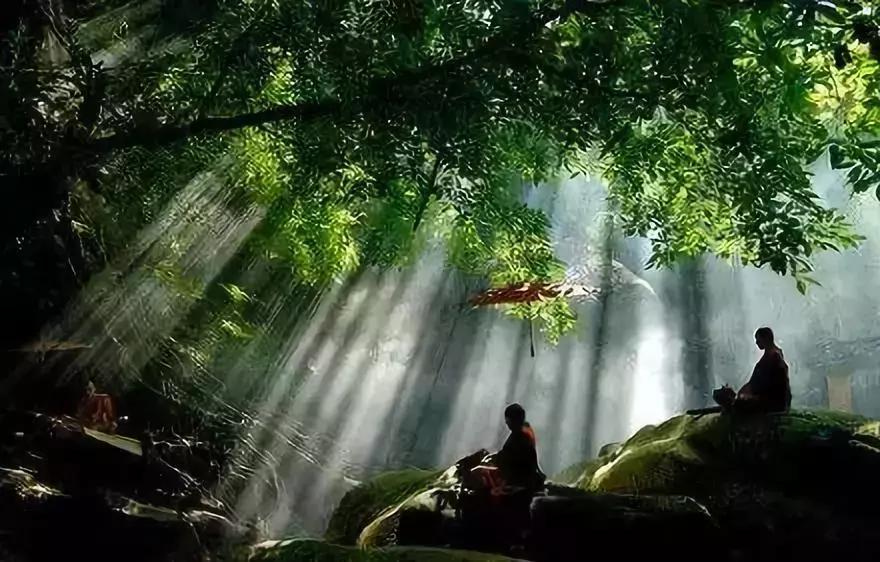 100种中国传统文化资料大全,最具代表性中国文化