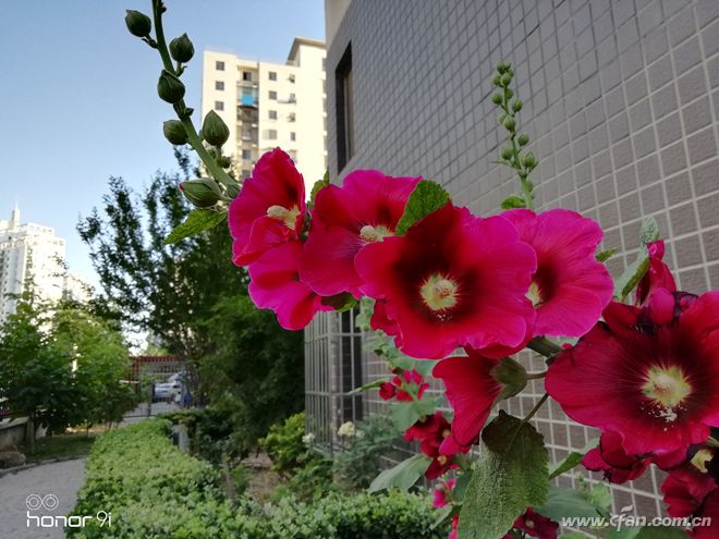 荣耀9i如何升级gpu,荣耀9igputurbo怎么更新