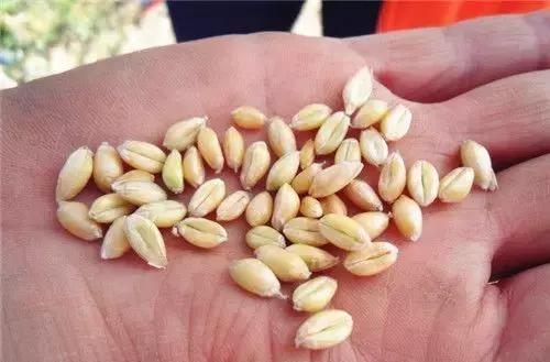 夏天钓鱼最佳方法,垂钓怎样能让鱼开口