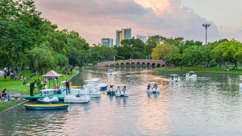 安信达考察,泰国商务考察团回国考察