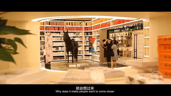 网红书店好看吗,网红书店引得来还要留得住