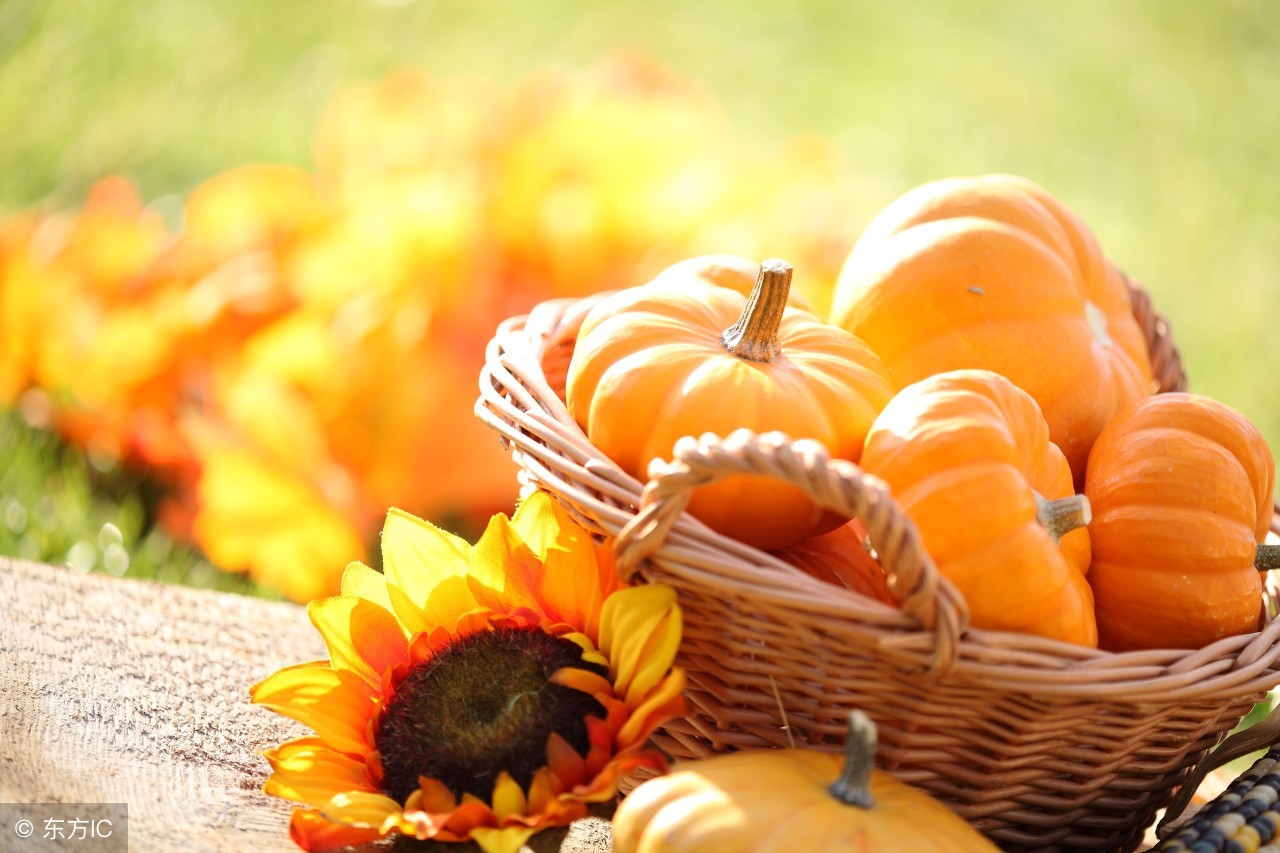 女性吃什么食材能补充体内雌激素,女性吃什么补充雌激素催来月经