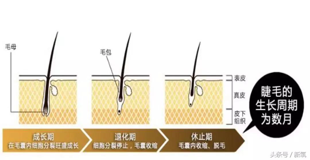 睫毛增长液排雷,睫毛增长液是不是前半瓶有效果