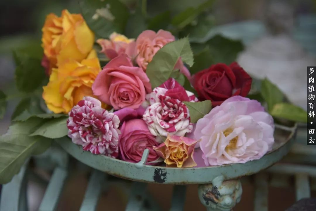 推开世界的门和自己和解,推开世界的门你所看到的风景