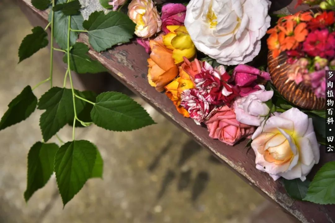 推开世界的门和自己和解,推开世界的门你所看到的风景