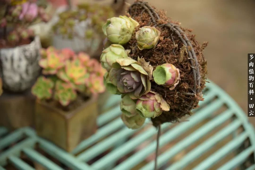 推开世界的门和自己和解,推开世界的门你所看到的风景