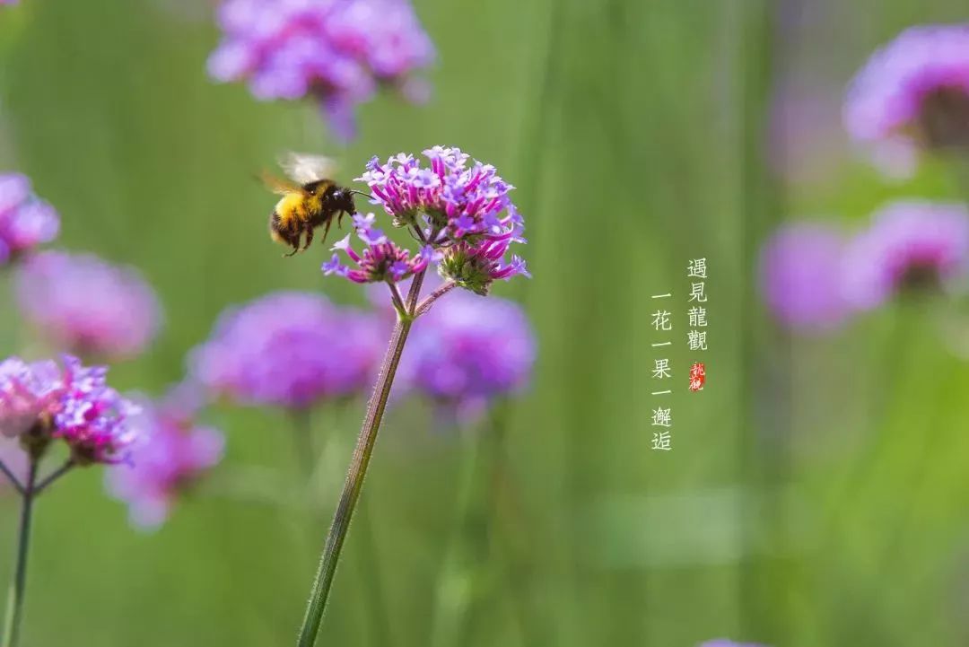五月宁波五龙潭风景区,10月宁波五龙潭风景区