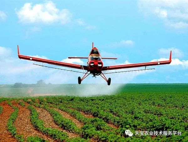 这些农药知识你一定要知道,农药四霉素缺点