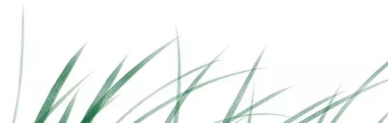 豫东水城摄影——老子故里鹿邑涡河湿地生态植被百科(三)