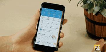 ios12.5.5iphone6建议升级吗,ios12系统可以升随意版本吗