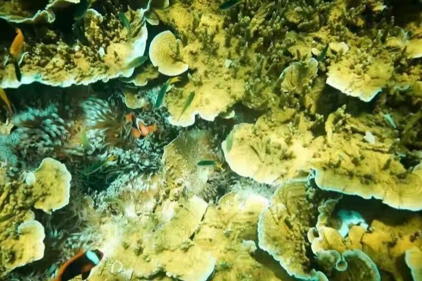 海岛地图最美风景打卡点,山东人少景美的海岛推荐