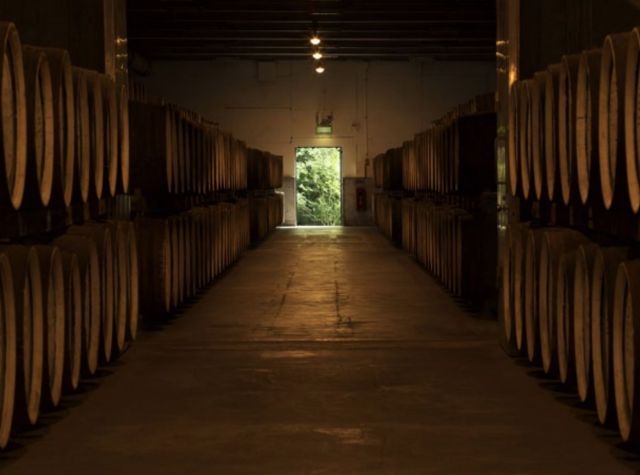 双面城市如何“一网打尽”？