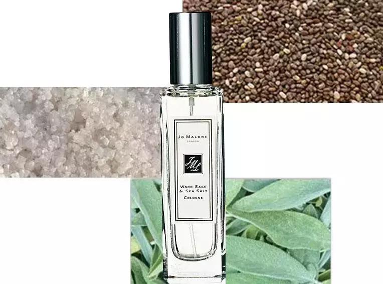 这次才是最性感的用香法，不止香调分析、喷香位置那么简单