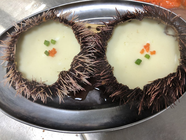 亚龙湾休闲度假康养旅游,亚龙湾老人休闲度假