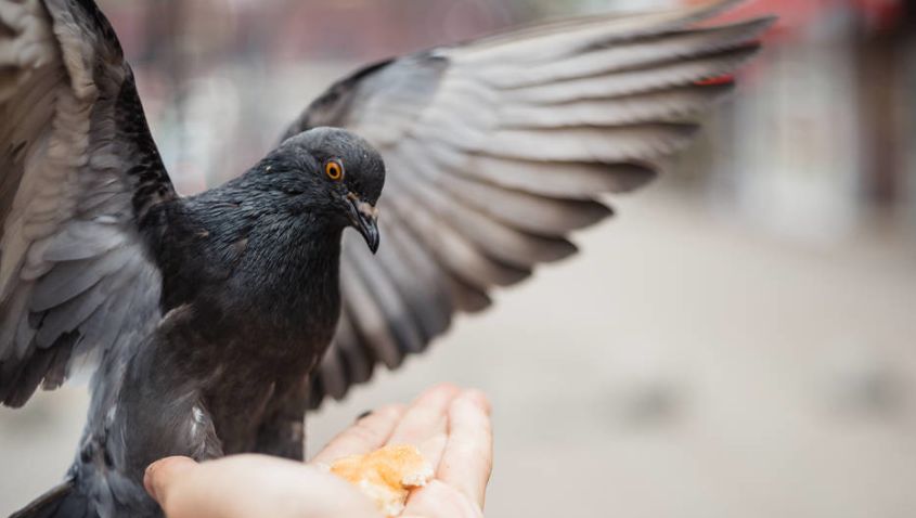 出国自由行注意事项,为了出国旅游而出国