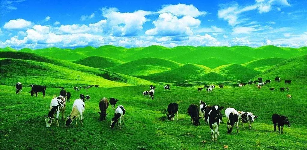 邵阳换新名片了！快传递出去~为你带来更多的人脉、财脉！