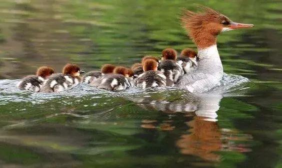 刚拍的你从未见过的集体照,史上最全的集体照