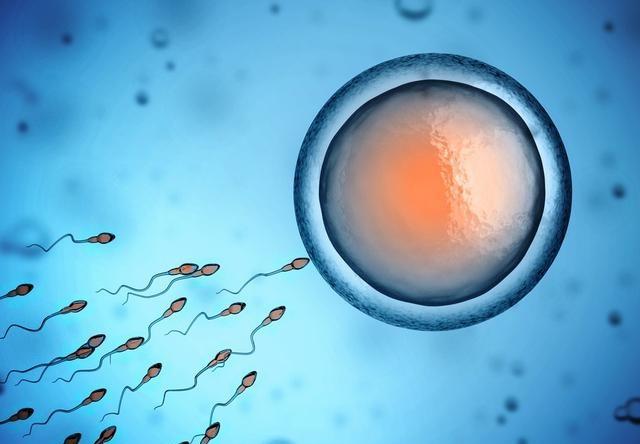 宫外孕患者需要注意的事项,宫外孕的9种病因必须高度警惕