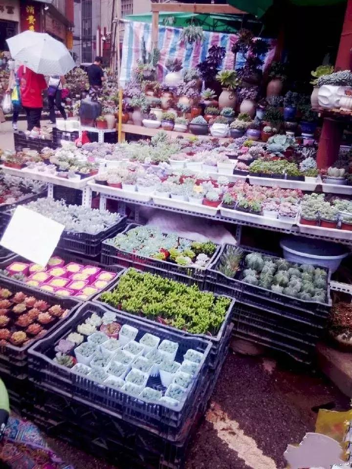 昆明国庆假期自驾游攻略,五一昆明最适合去的地方