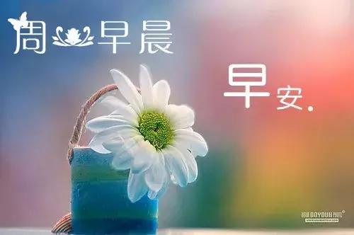 又是全新的一天,新的心情!(06月11日周一早晨)