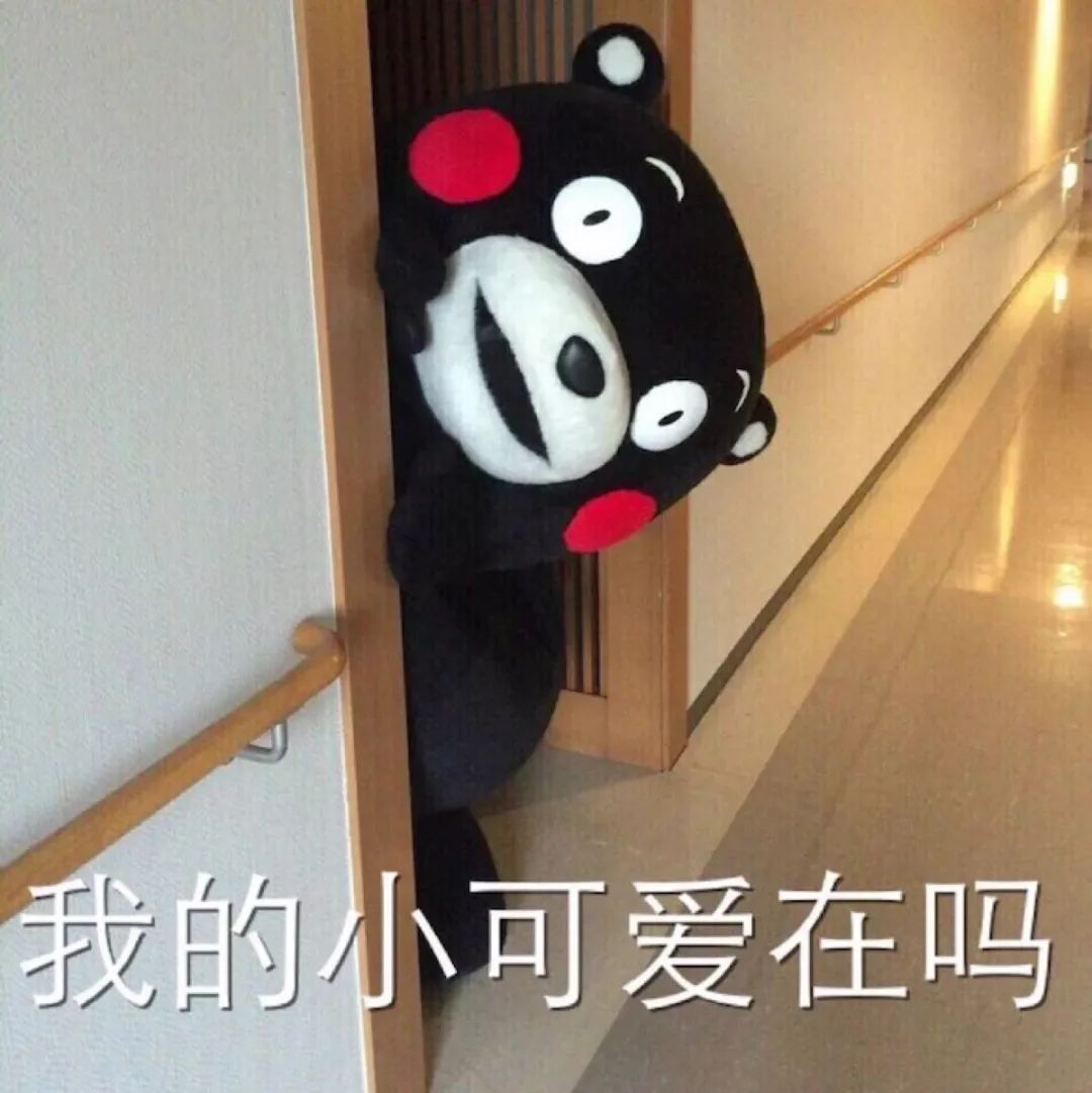 海参价格便宜的猫腻,海参市场的真实现状