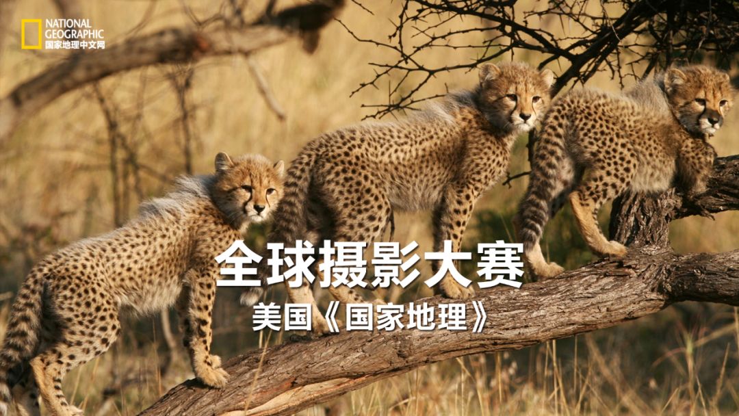 韩国足球的犯规艺术,韩国踢足球犯规现场