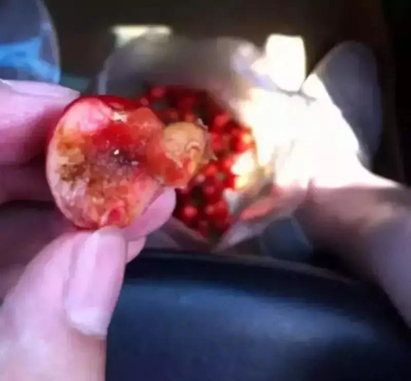 樱桃泡盐水会泡出虫子是真的吗,樱桃泡水有小虫还能吃吗
