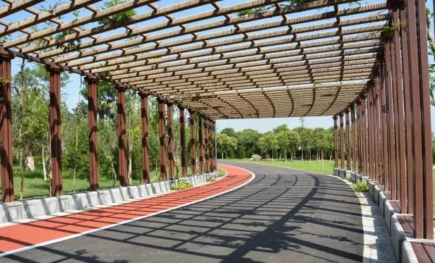 西安最美跑道,在美丽的操场上跑步