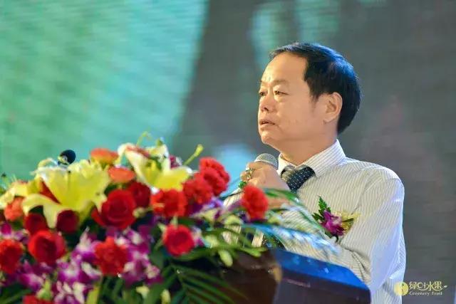 20年沉淀铸就华中最大水果连锁店！长沙绿叶的核心竞争力是什么？