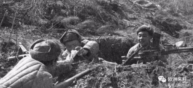 足球世界杯2018俄罗斯对法国,世界杯黑马预测塞尔维亚