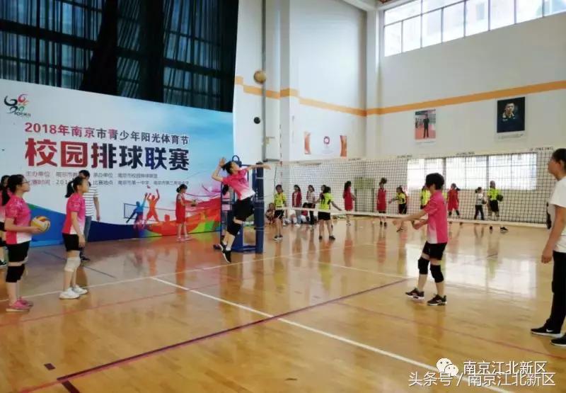 这个六月,看新区这群娃娃挥汗如雨战金陵!