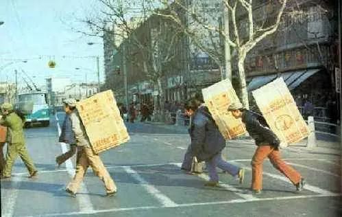 当代人的第十三个属相：松鼠