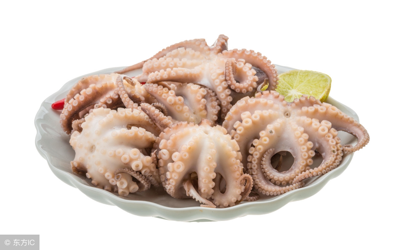 章鱼的功效与作用吃法,章鱼莲藕花生汤有什么功效