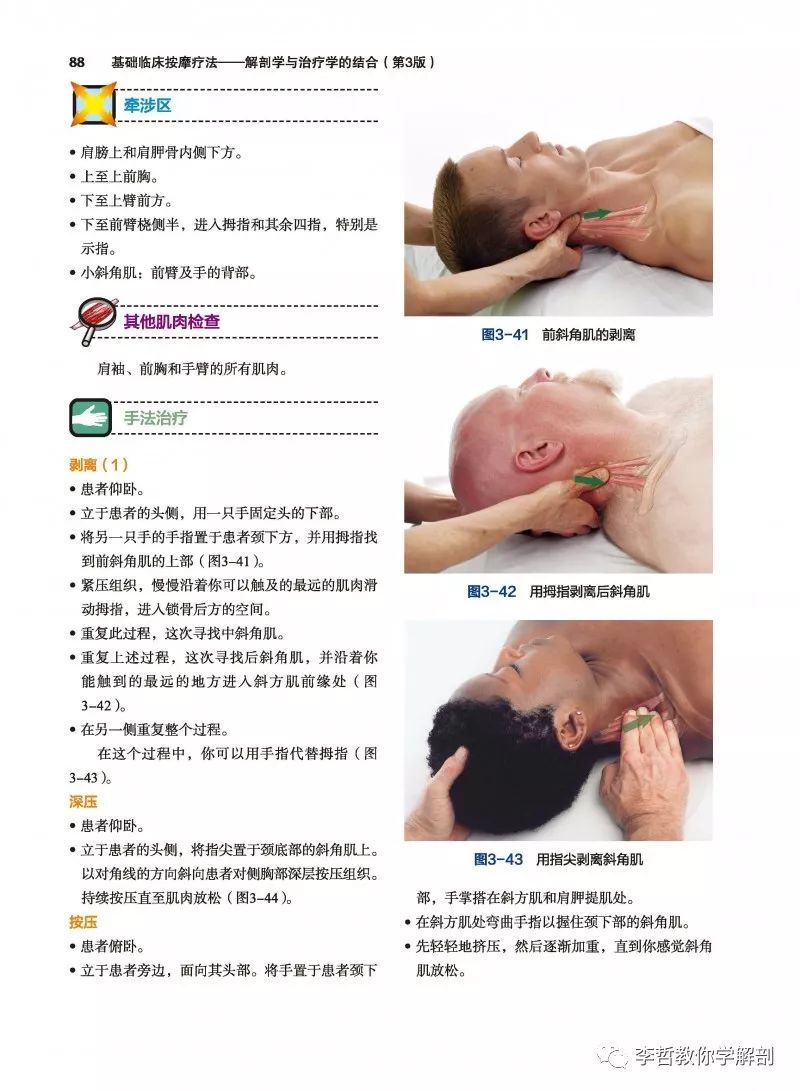 经典书籍百年之后还是经典---《基础临床按摩疗法》最新版来袭