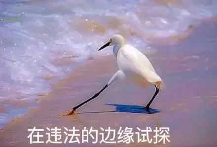 净化网络空间文明上网,净化网络环境文明安全上网