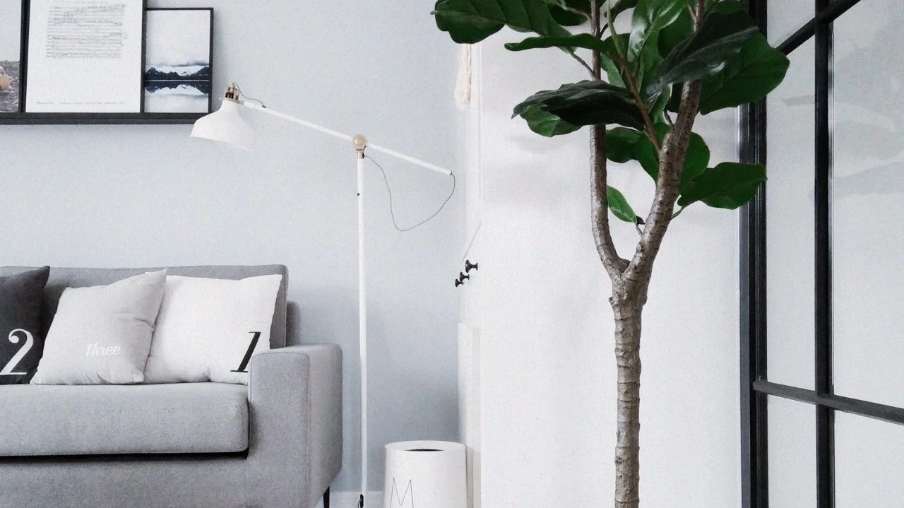 把幻想变成现实,给自己一个小户型的家