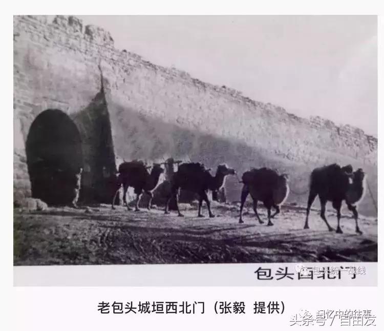 老包头人的生活缩影,包头各地往事