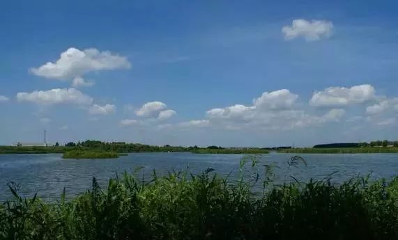 省下一大笔！今天起，郑州这些统统免费，不知道你就亏大了