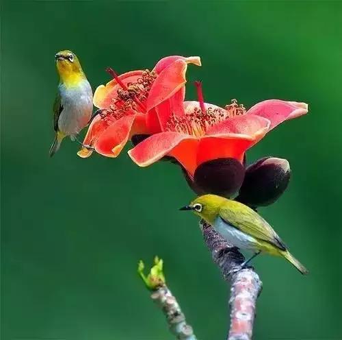 男女之间幽默搞笑顺口溜,男女之间的关系顺口溜