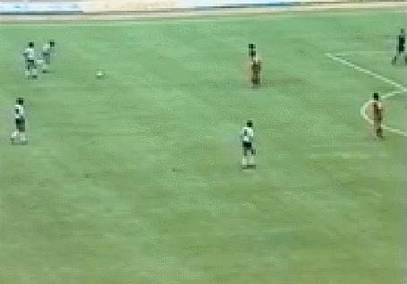 世界杯一百零八将,世界杯100大进球马拉多纳